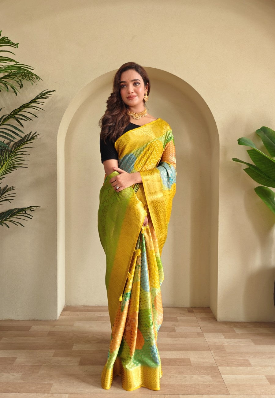 Premium Printed Georgette Elegance Saree with Silver Zari Touch
