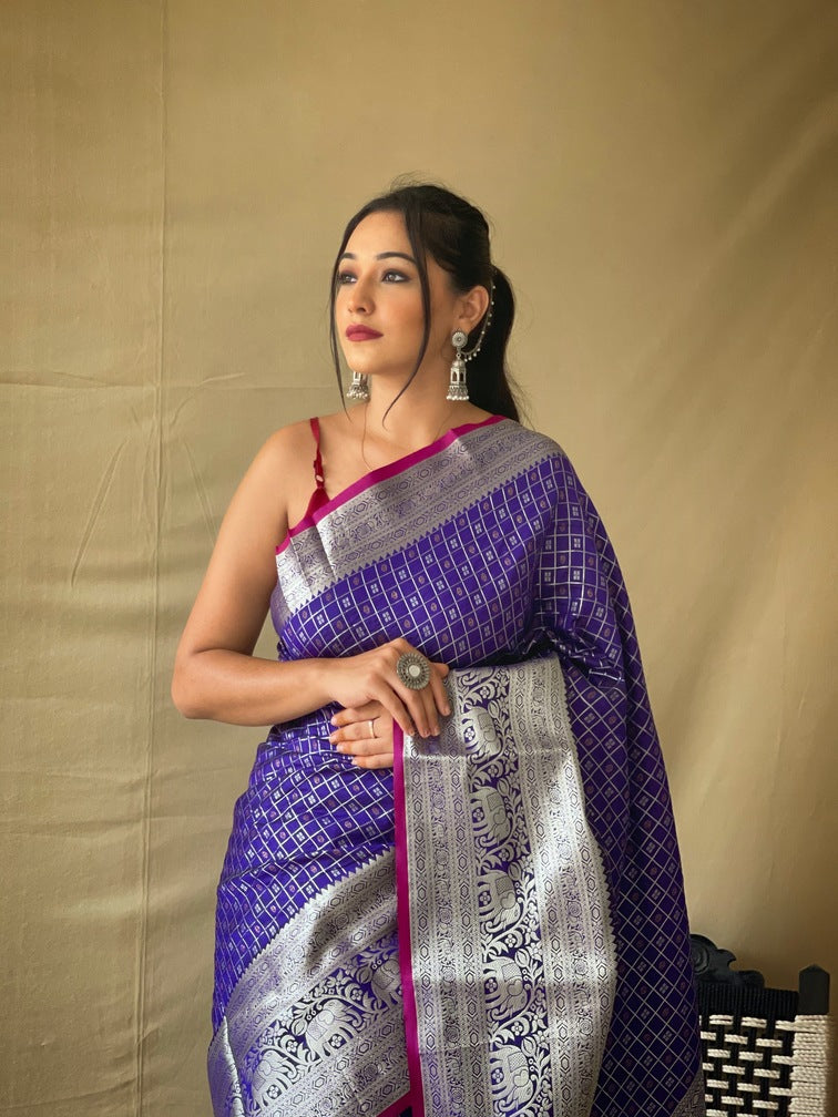 Premium Khicha Silk Saree with Silver Border, Weaving and Tassels