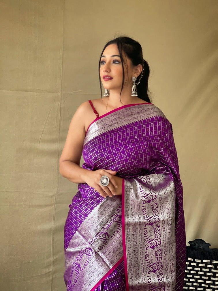Premium Khicha Silk Saree with Silver Border, Weaving and Tassels